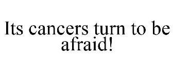 ITS CANCERS TURN TO BE AFRAID!