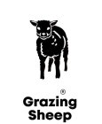 GRAZING SHEEP