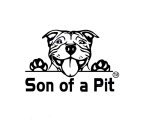 SON OF A PIT