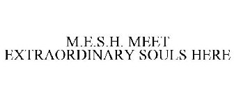 M.E.S.H. MEET EXTRAORDINARY SOULS HERE