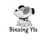 BINXING YTS