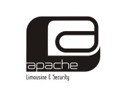 APACHE LIMOUSINE & SECURITY