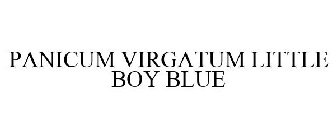 PANICUM VIRGATUM LITTLE BOY BLUE