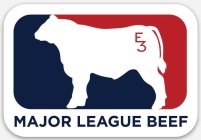 E3 MAJOR LEAGUE BEEF