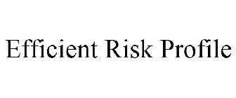 EFFICIENT RISK PROFILE