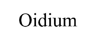 OIDIUM