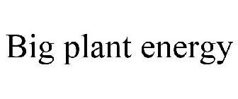 BIG PLANT ENERGY