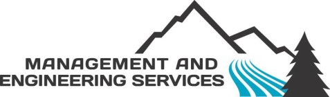 MANAGEMENT AND ENGINEERING SERVICES