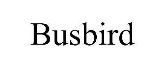BUSBIRD
