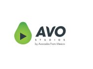 AVO STUDIOS BY AVOCADOS FROM MEXICO