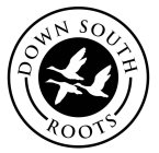 DOWN SOUTH ROOTS