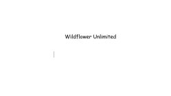 WILDFLOWER UNLIMITED