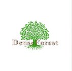 DENSE FOREST