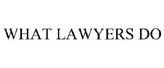 WHAT LAWYERS DO