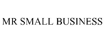 MR SMALL BUSINESS