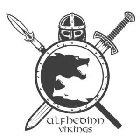 ULFHEDINN VIKINGS