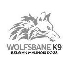 WOLFSBANE K9 BELGIAN MALINOIS DOGS