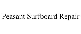 PEASANT SURFBOARD REPAIR