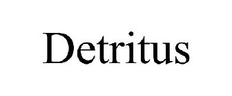 DETRITUS