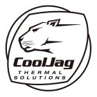 COOLJAG THERMAL SOLUTIONS