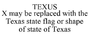 TEXUS X MAY BE REPLACED WITH THE TEXAS STATE FLAG OR SHAPE OF STATE OF TEXAS