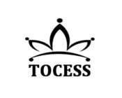 TOCESS