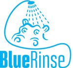 BLUE RINSE