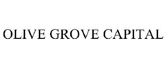 OLIVE GROVE CAPITAL