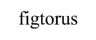 FIGTORUS