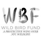 WBF WILD BIRD FUND A PROTECTIVE WING OVER NYC WILDLIFE