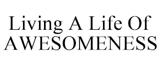 LIVING A LIFE OF AWESOMENESS