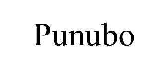 PUNUBO