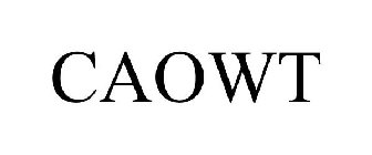 CAOWT