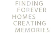 FINDING FOREVER HOMES CREATING MEMORIES DREAM