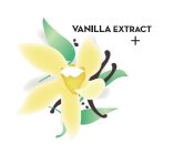 VANILLA EXTRACT +