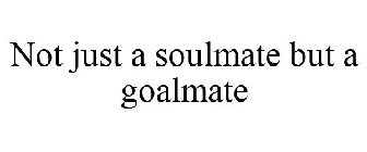 NOT JUST A SOULMATE BUT A GOALMATE