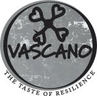 VASCANO THE TASTE OF RESILIENCE