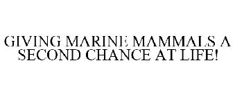GIVING MARINE MAMMALS A SECOND CHANCE AT LIFE!