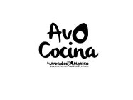 AVO COCINA BY AVOCADOS FROM MEXICO