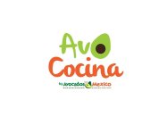 AVO COCINA BY AVOCADOS FROM MEXICO