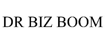 DR BIZ BOOM