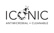 ICONIC ANTIMICROBIAL CLEANABLE