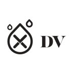 DV X VV