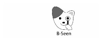 B-SEEN