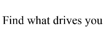 FIND WHAT DRIVES YOU