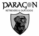 PARAGON RETRIEVERS & GUN DOGS
