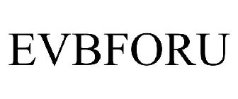 EVBFORU