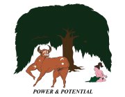 POWER&POTENTIAL