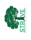 STRIVE BUILDING A FOUNDATION FOR A HEALTHIER YOU