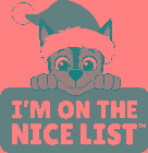 I'M ON THE NICE LIST